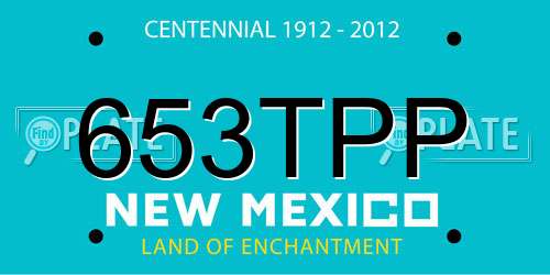 653TPP New Mexico License Plate