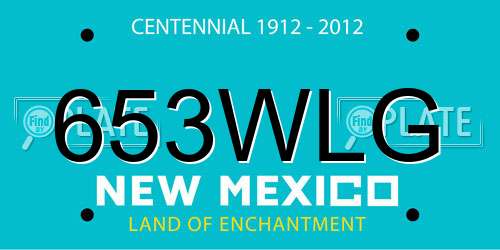 653WLG New Mexico License Plate