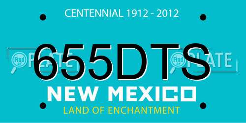 655DTS New Mexico License Plate