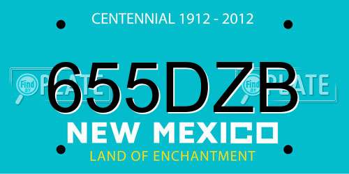 655DZB New Mexico License Plate