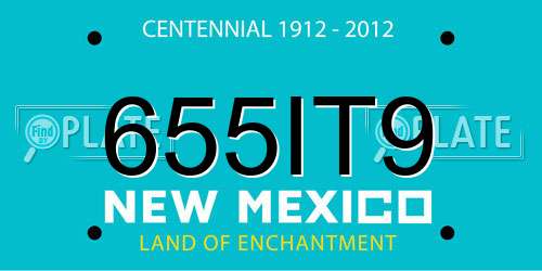 655IT9 New Mexico License Plate