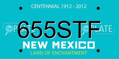 655STF New Mexico License Plate