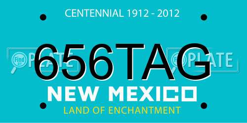 656TAG New Mexico License Plate