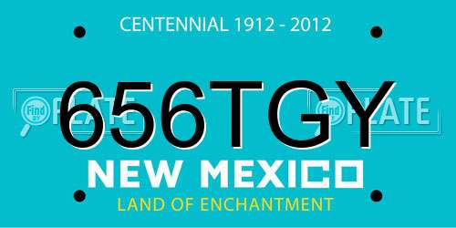 656TGY New Mexico License Plate