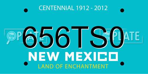 656TS0 New Mexico License Plate