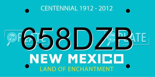 658DZB New Mexico License Plate