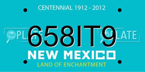 658IT9 New Mexico License Plate