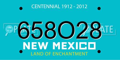 658O28 New Mexico License Plate
