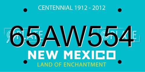 65AW554 New Mexico License Plate