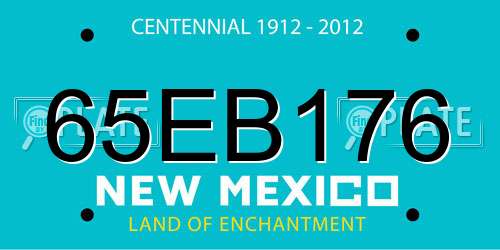 65EB176 New Mexico License Plate