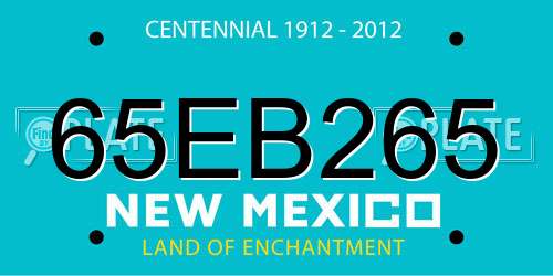 65EB265 New Mexico License Plate