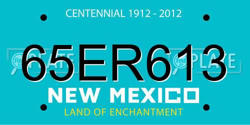 65ER613 New Mexico License Plate