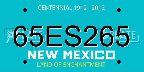 65ES265 New Mexico License Plate