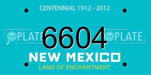 6604 New Mexico License Plate