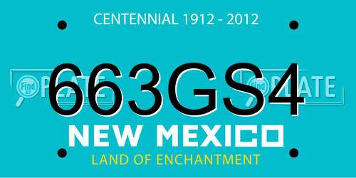 663GS4 New Mexico License Plate