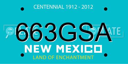 663GSA New Mexico License Plate
