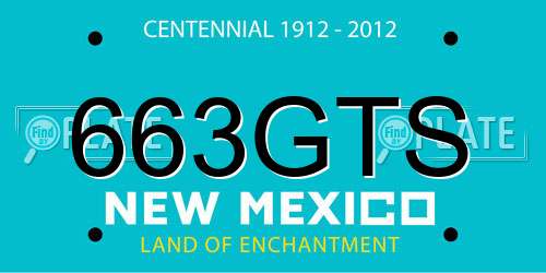 663GTS New Mexico License Plate