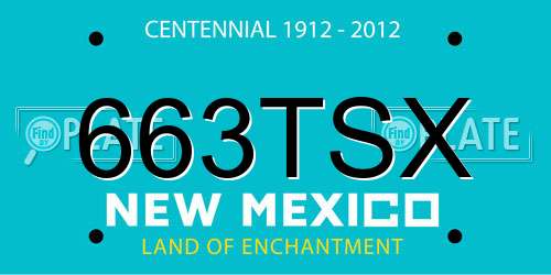 663TSX New Mexico License Plate