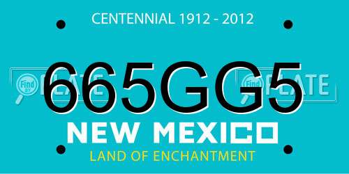 665GG5 New Mexico License Plate
