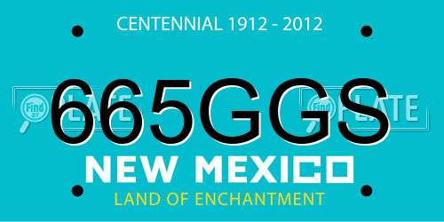 665GGS New Mexico License Plate