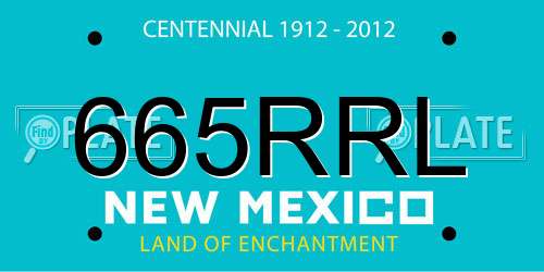 665RRL New Mexico License Plate