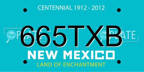 665TXB New Mexico License Plate