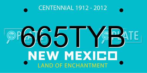 665TYB New Mexico License Plate