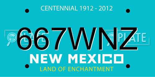 667WNZ New Mexico License Plate