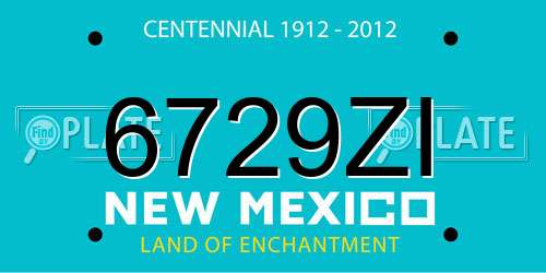 6729ZI New Mexico License Plate