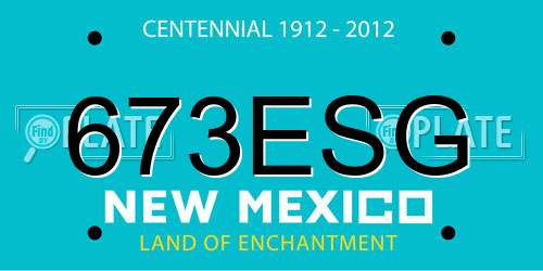 673ESG New Mexico License Plate