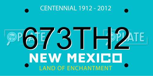673TH2 New Mexico License Plate