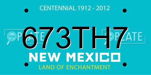 673TH7 New Mexico License Plate