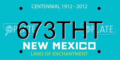 673THT New Mexico License Plate
