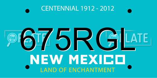 675RGL New Mexico License Plate