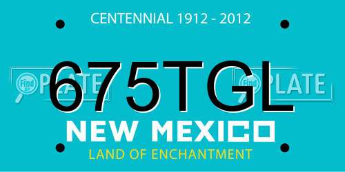 675TGL New Mexico License Plate