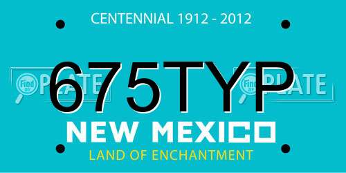 675TYP New Mexico License Plate