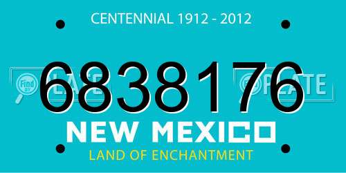 6838176 New Mexico License Plate