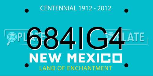 684IG4 New Mexico License Plate