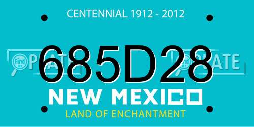 685D28 New Mexico License Plate