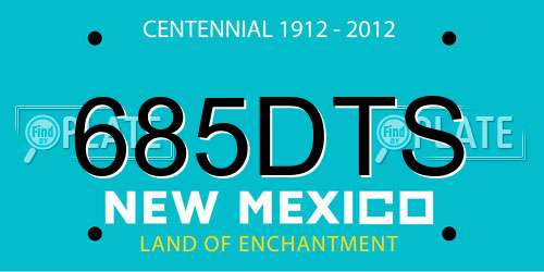 685DTS New Mexico License Plate
