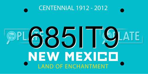 685IT9 New Mexico License Plate
