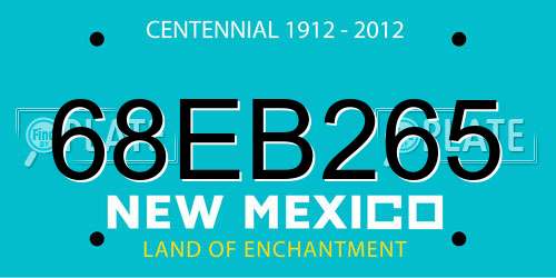 68EB265 New Mexico License Plate