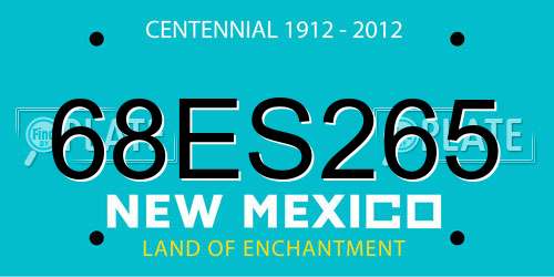 68ES265 New Mexico License Plate
