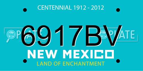 6917BV New Mexico License Plate