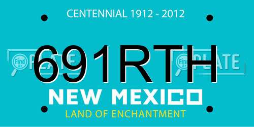 691RTH New Mexico License Plate