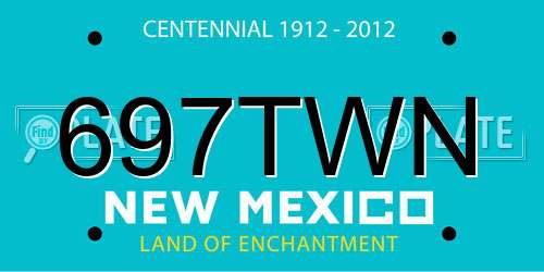 697TWN New Mexico License Plate