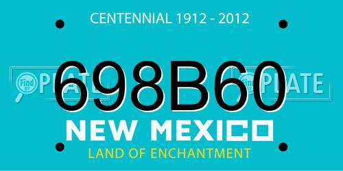 698B60 New Mexico License Plate