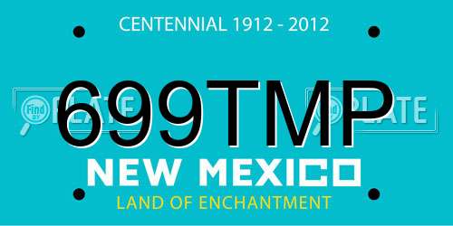699TMP New Mexico License Plate