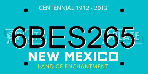 6BES265 New Mexico License Plate