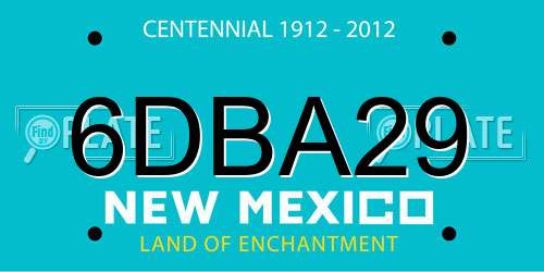 6DBA29 New Mexico License Plate